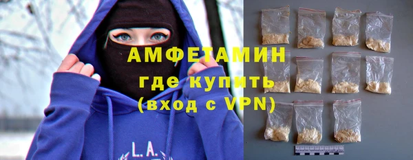 твердый Дмитровск