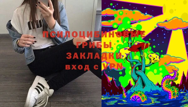 твердый Дмитровск