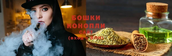 твердый Дмитровск