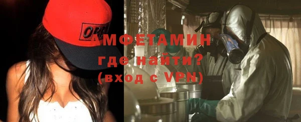 твердый Дмитровск