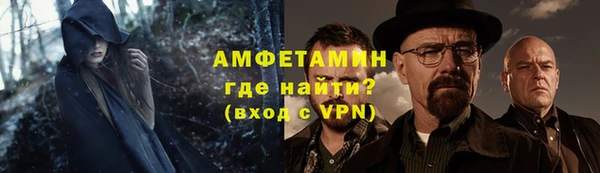 твердый Дмитровск