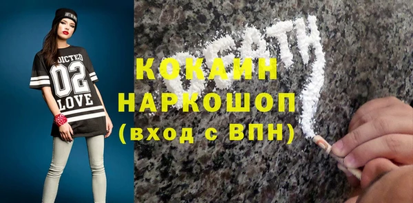 твердый Дмитровск