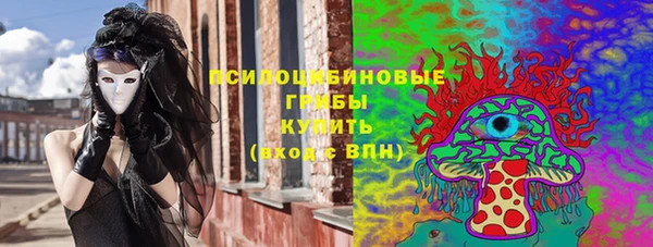 твердый Дмитровск
