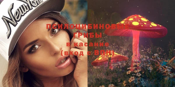 не бодяженный Дмитров