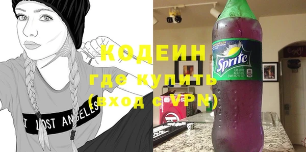 твердый Дмитровск
