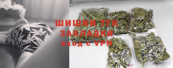 твердый Дмитровск