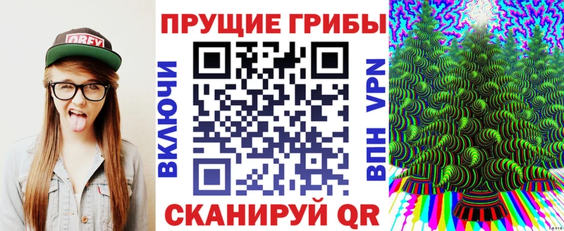 Псилоцибиновые грибы мухоморы  MEGA вход  Зея 